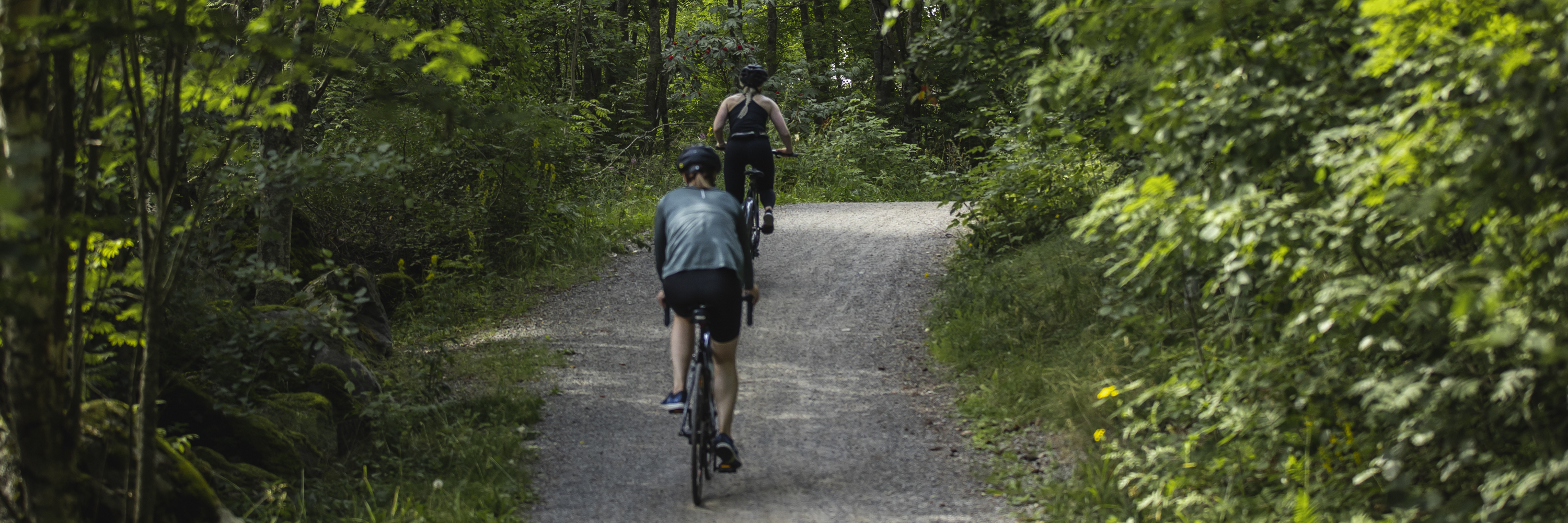 Två cyklister på en grusväg i en skog.
